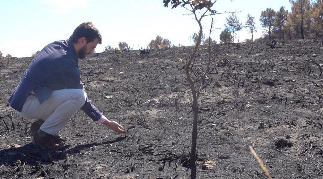 Gallardo en la Sierra de la Culebra tras el incendio. JCYL