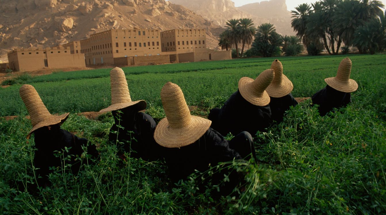 Unas mujeres se protegen del sol con sombreros mientras recogen trébol para el ganado. Wai Hadhramaut, República del Yemen. ©Steve McCurryNational Geographic