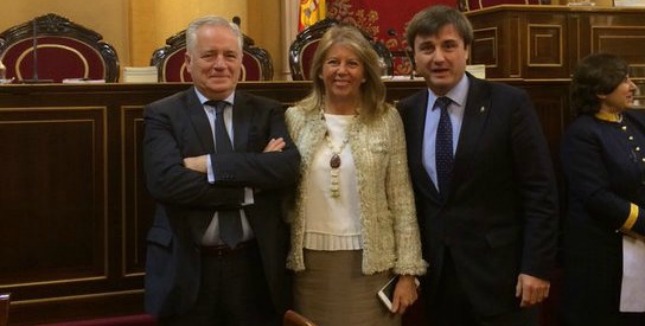 El PSOE pregunta por la acumulación de sueldos y cargos de la exalcaldesa de Marbella  