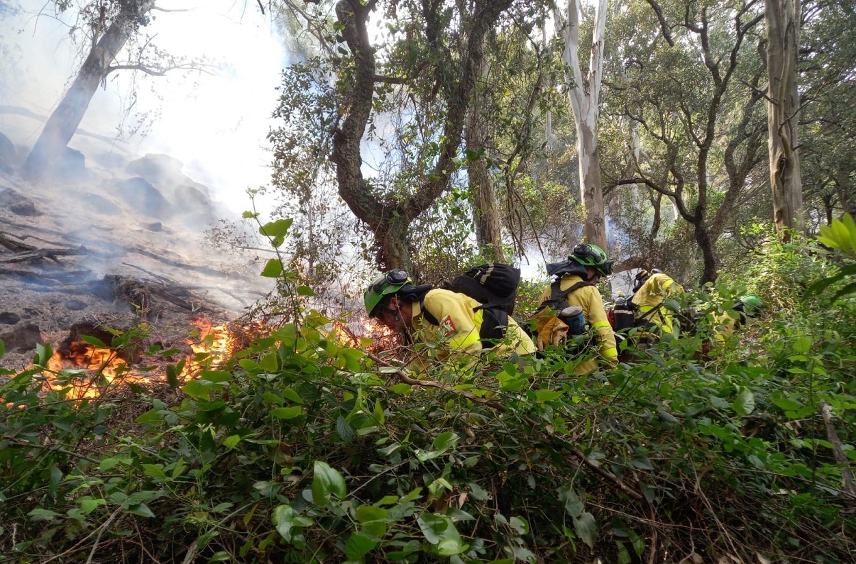 Efectivos del Infoca luchando contra el fuego en Tarifa. EP