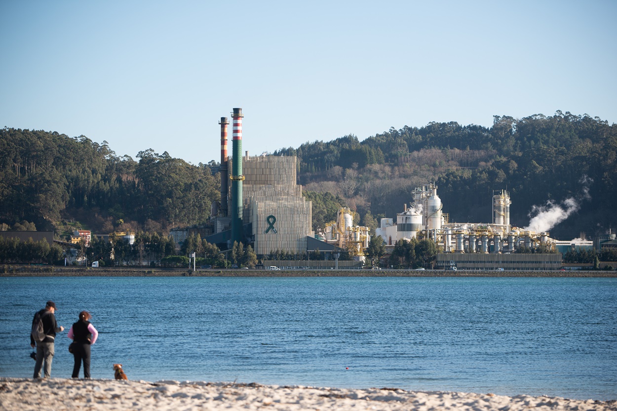 Imagen del complejo que Ence tiene en plena ría de Pontevedra (Foto: Europa Press).