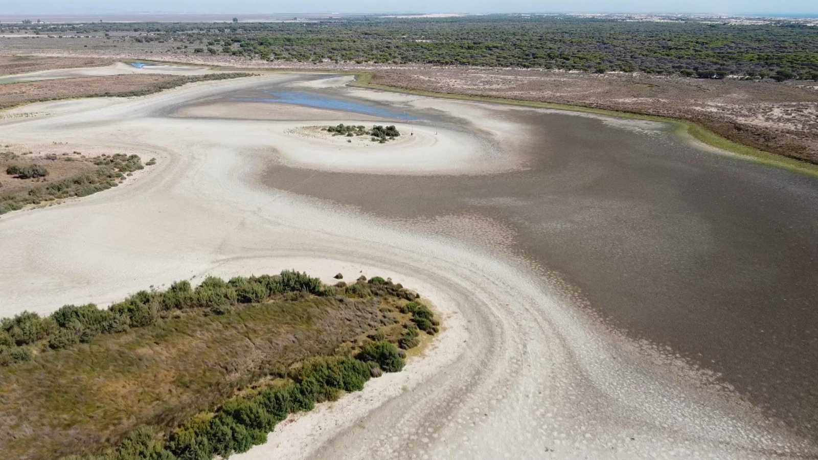 Estación de Doñana. RTVE