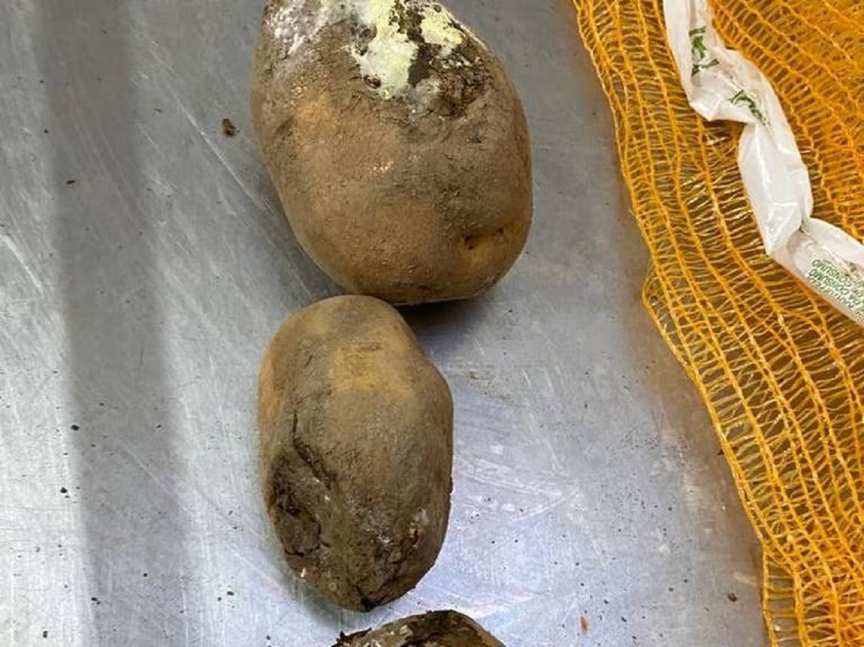 Patatas podridas en la residencia de Arganda del Rey. CSIT Unión Profesional