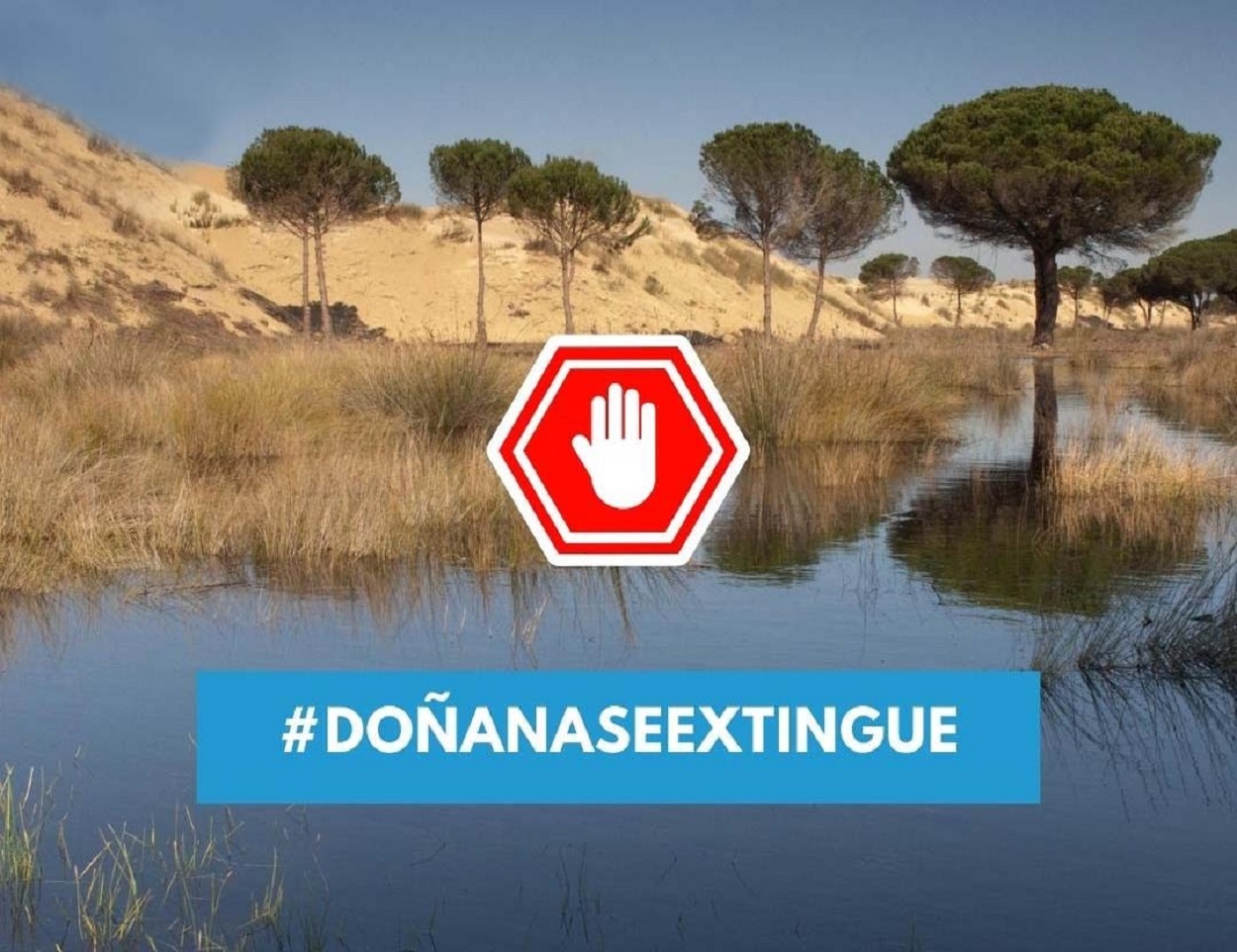 Imagen de Doñana se extingue. rrss.
