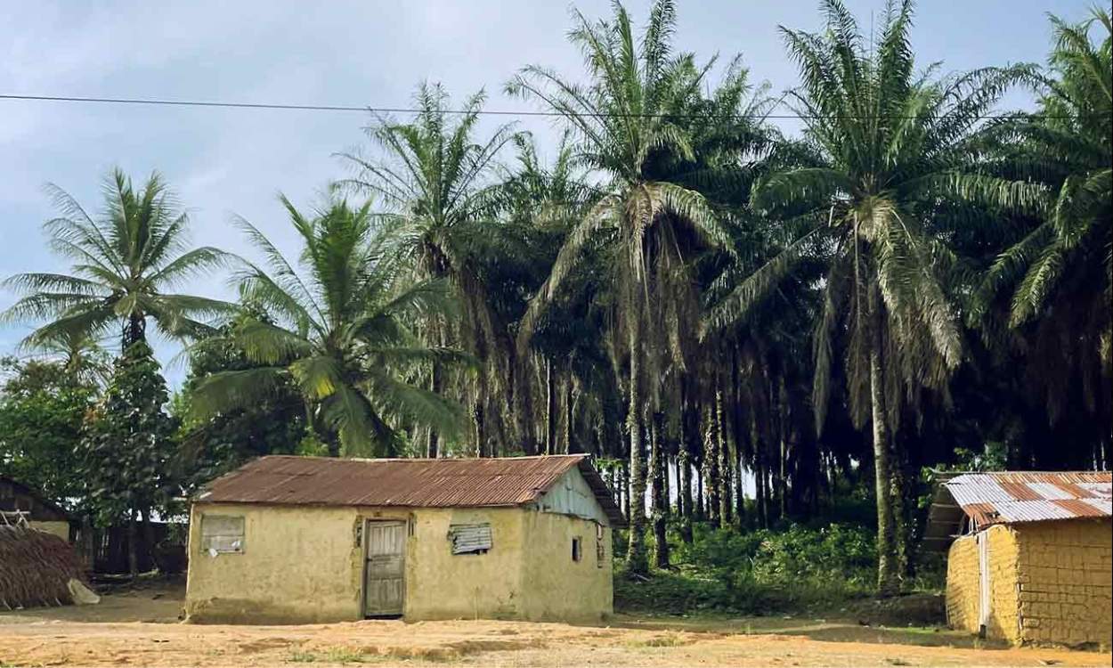 Una crónica en clave personal de la Misión Monrovia 2023. Texto y foto de Claudia Pérez Tavares