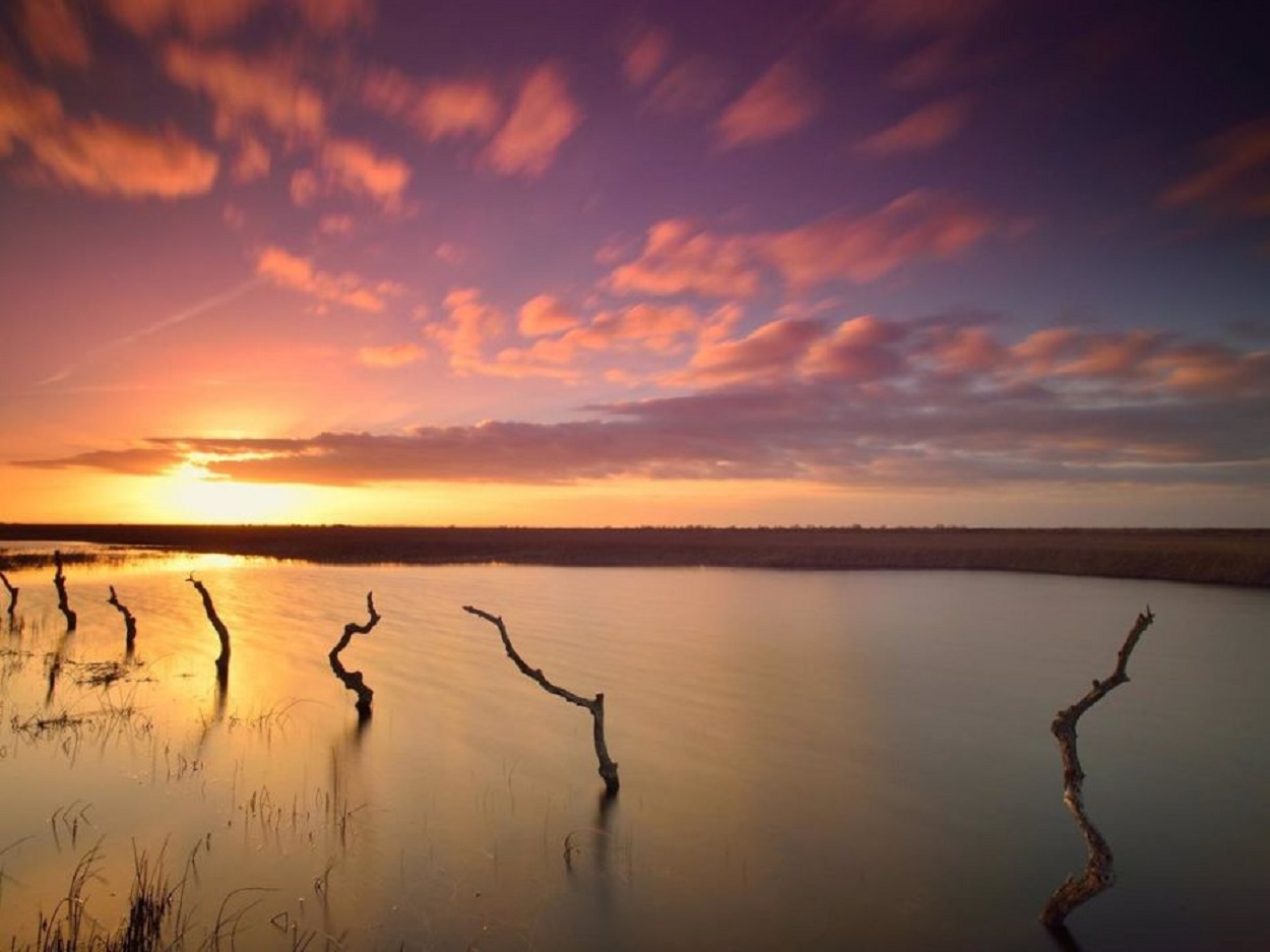 Controversia sobre el origen del nombre de Doñana