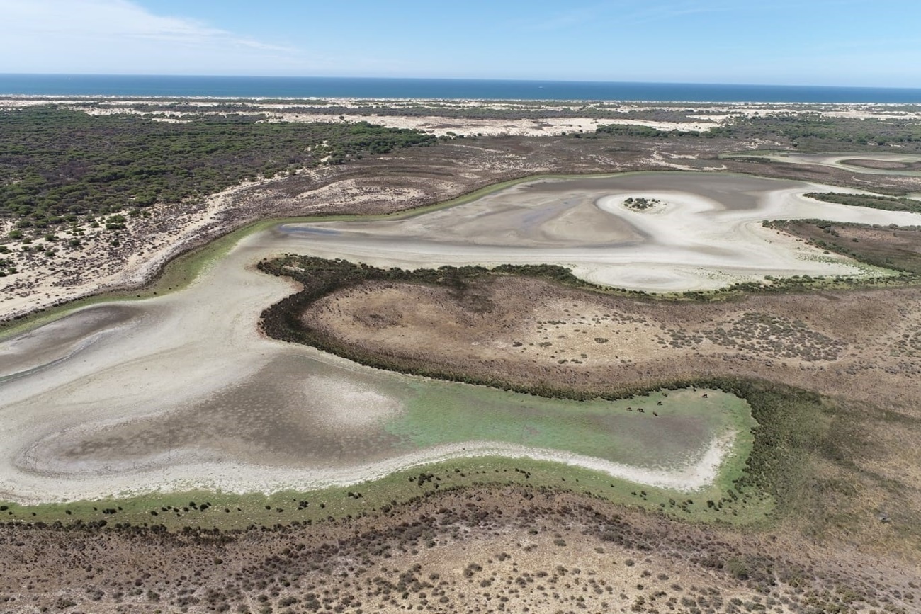 Laguna de Santa Olalla, en Doñana, seca en agosto de 2022