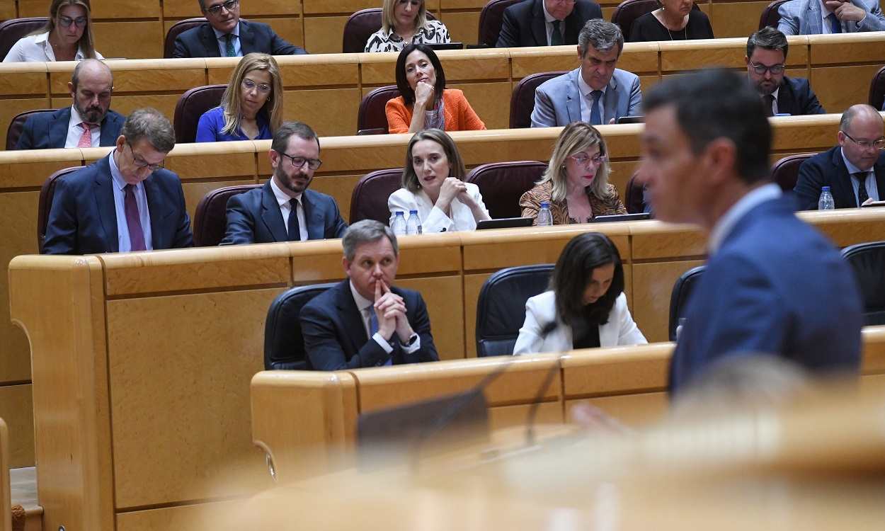 Pedro Sánchez, presidente del Gobierno, comparece ante el líder del PP, Alberto Núñez Feijóo, en el Senado. EP