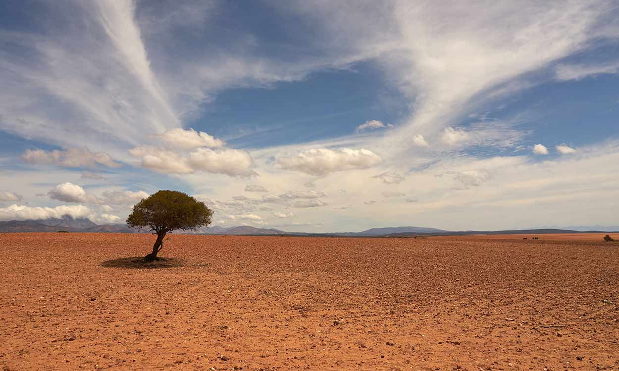 Los científicos tratan de predecir en qué países se notarán más las olas de calor que se avecinan