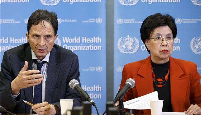 La OMS declara la emergencia sanitaria internacional por los casos de microcefalia
