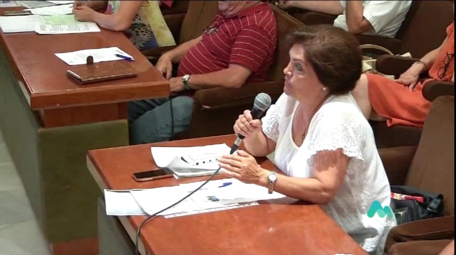 Pilar Pedrezuela en el Consejo de Participación Ciudadana.