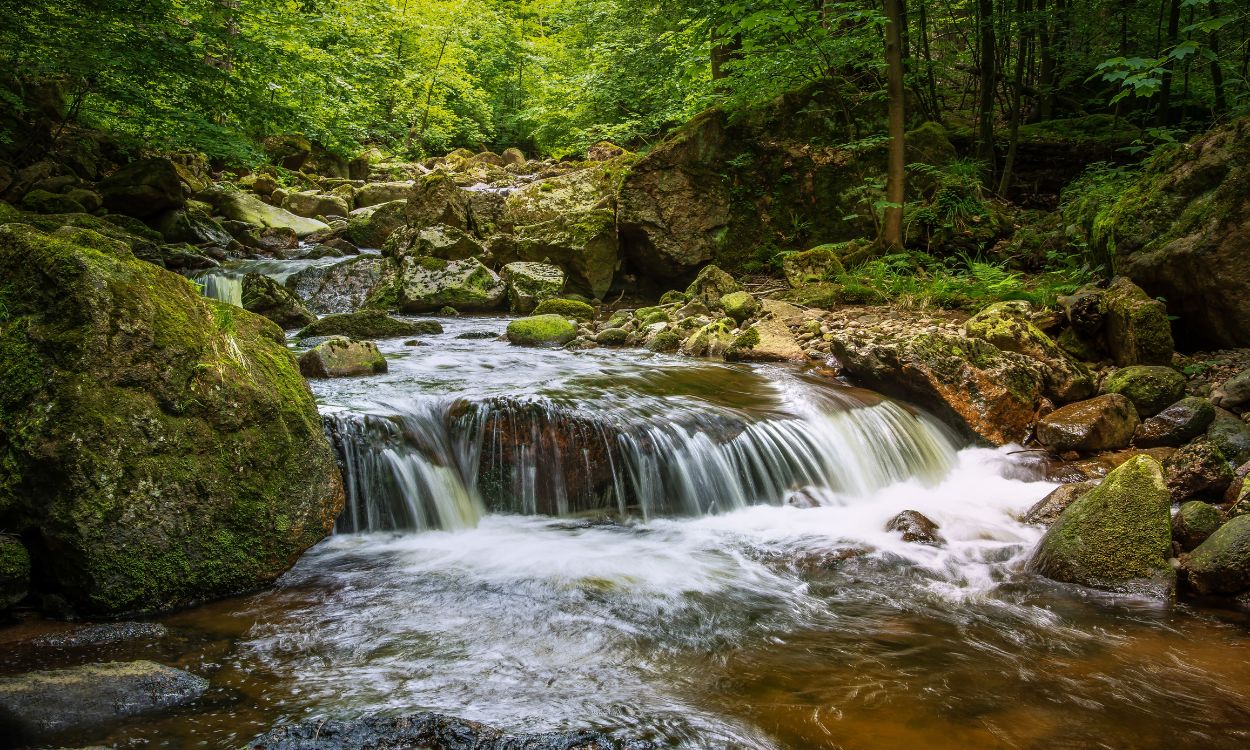 Foto de archivo de la cascada de una piscina natural. Canva