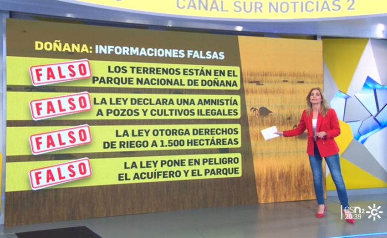Panel sobre Doñana incluido en la emisión de los informativos de Canal Sur.