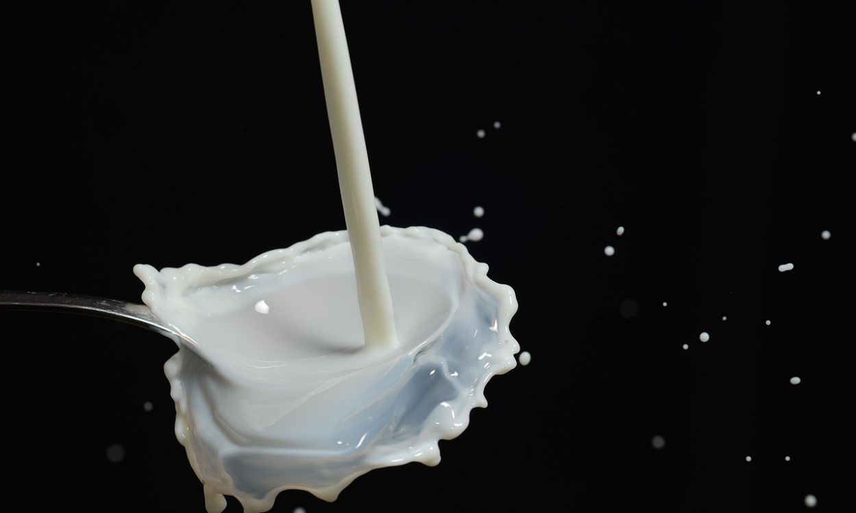 Imagen de recurso de leche.