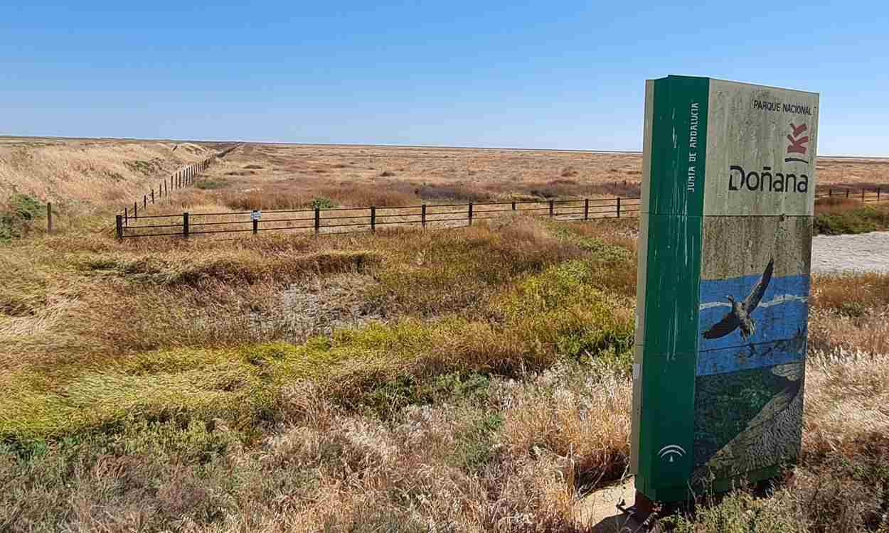 Imagen del parque Nacional de Doñana. EP