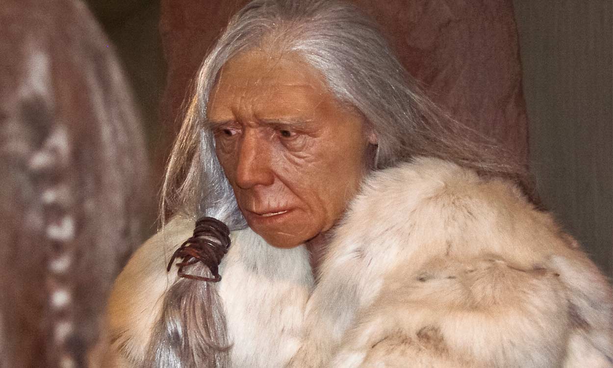 Reconstrucción de  una mujer  neandertal   Foto de Fährtenleser (CC 4.0)  