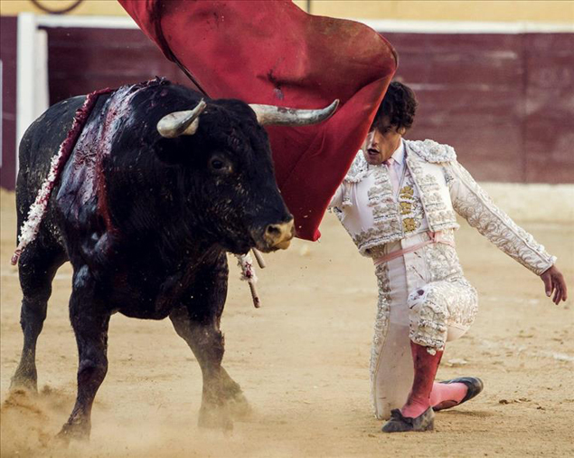 El Parlamento Europeo estudia una petición para prohibir la tauromaquia