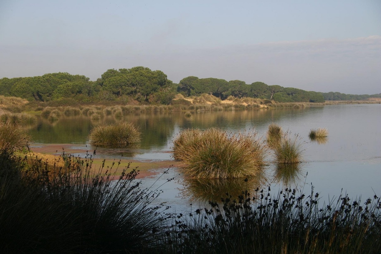 Imagen del Parque Nacional de Doñana
