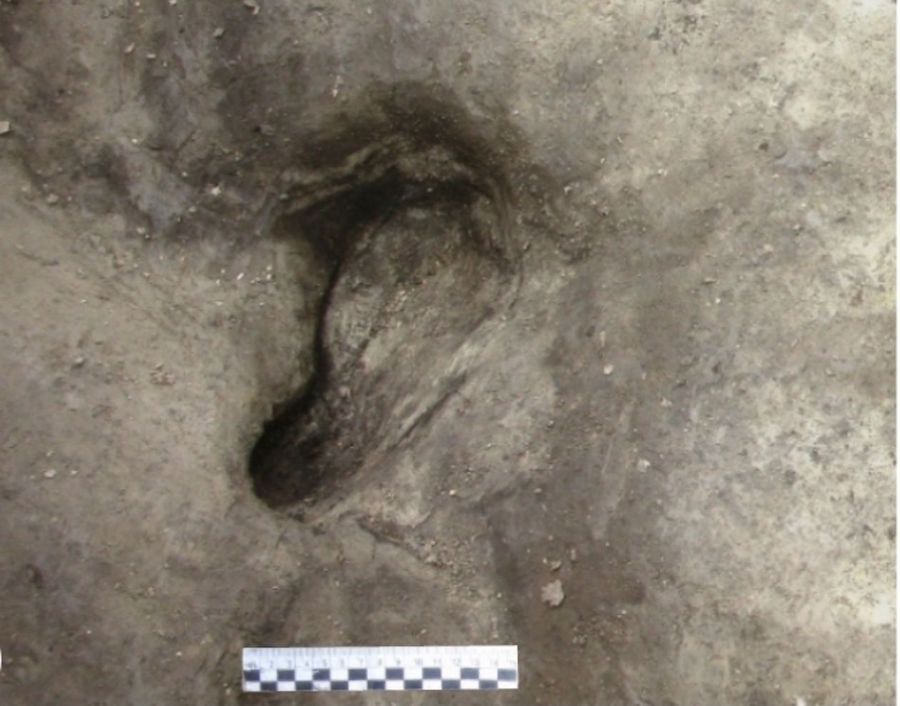 Posible huella de homínido descubierta en Schöningen 13 II 2 Untere Berme. Foto ©Senckenberg