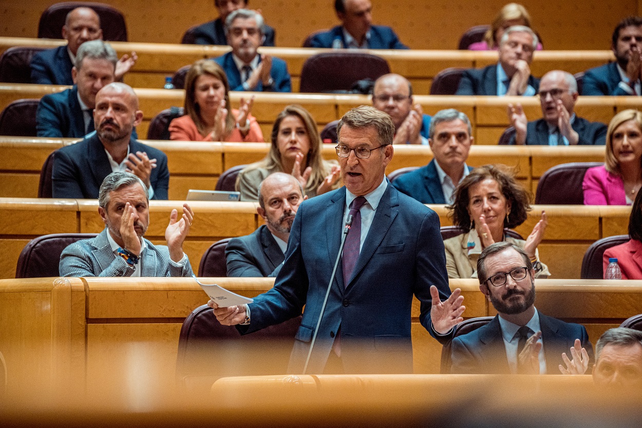 El líder del PP, Alberto Núñez Feijóo, y el vicepresidente del Senado, Javier Maroto. EP