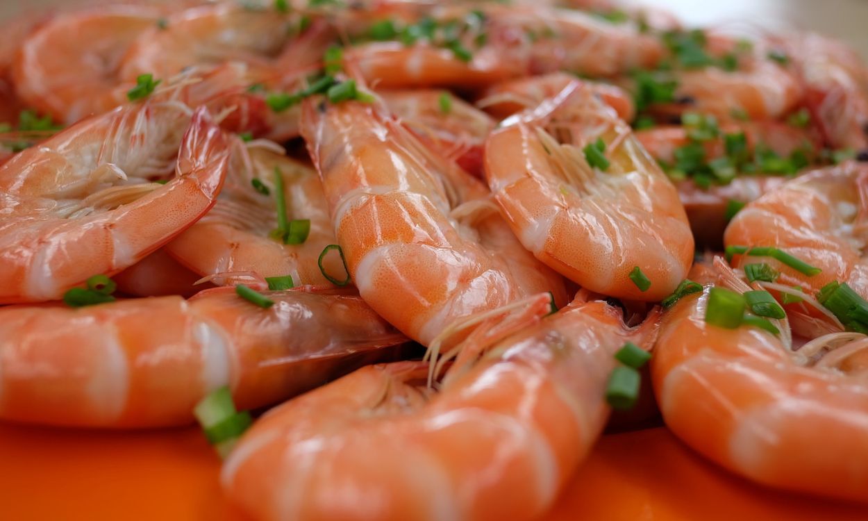 El marisco se ha convertido en una parte integral de la cultura gastronómica de España. Pixabay