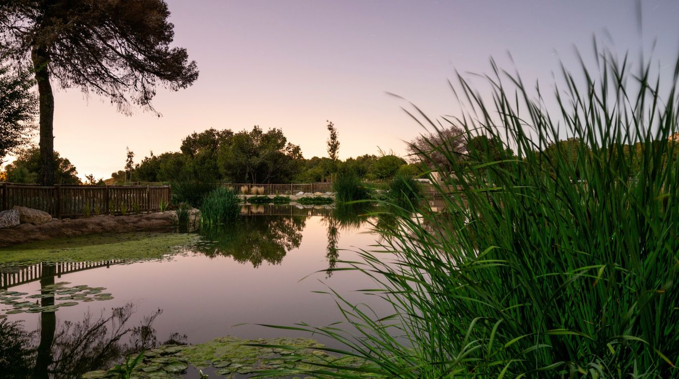 Parque El Recorral en Rojales (Alicante), ejemplo de infraestructura verde urbana