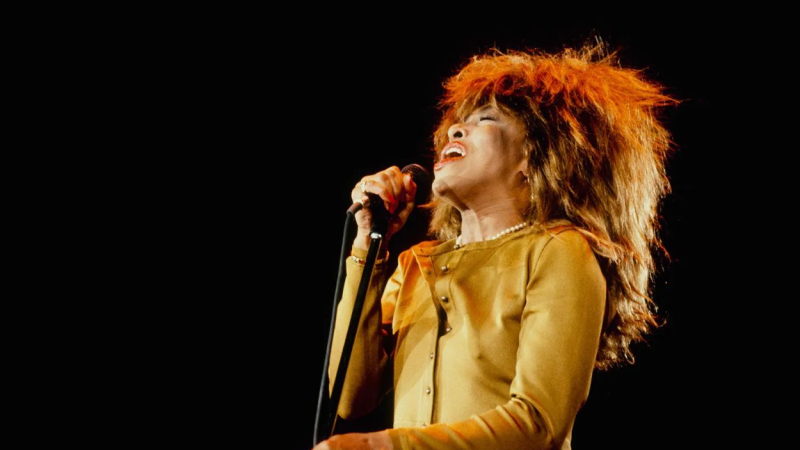 La cantante Tina Turner en una imagen de archivo. La cantante Tina Turner en una imagen de archivo.