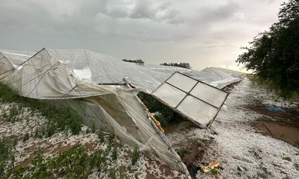 Invernadero derribado por el granizo en Los Palacios, Sevilla, consecuencia de la DANA. EP