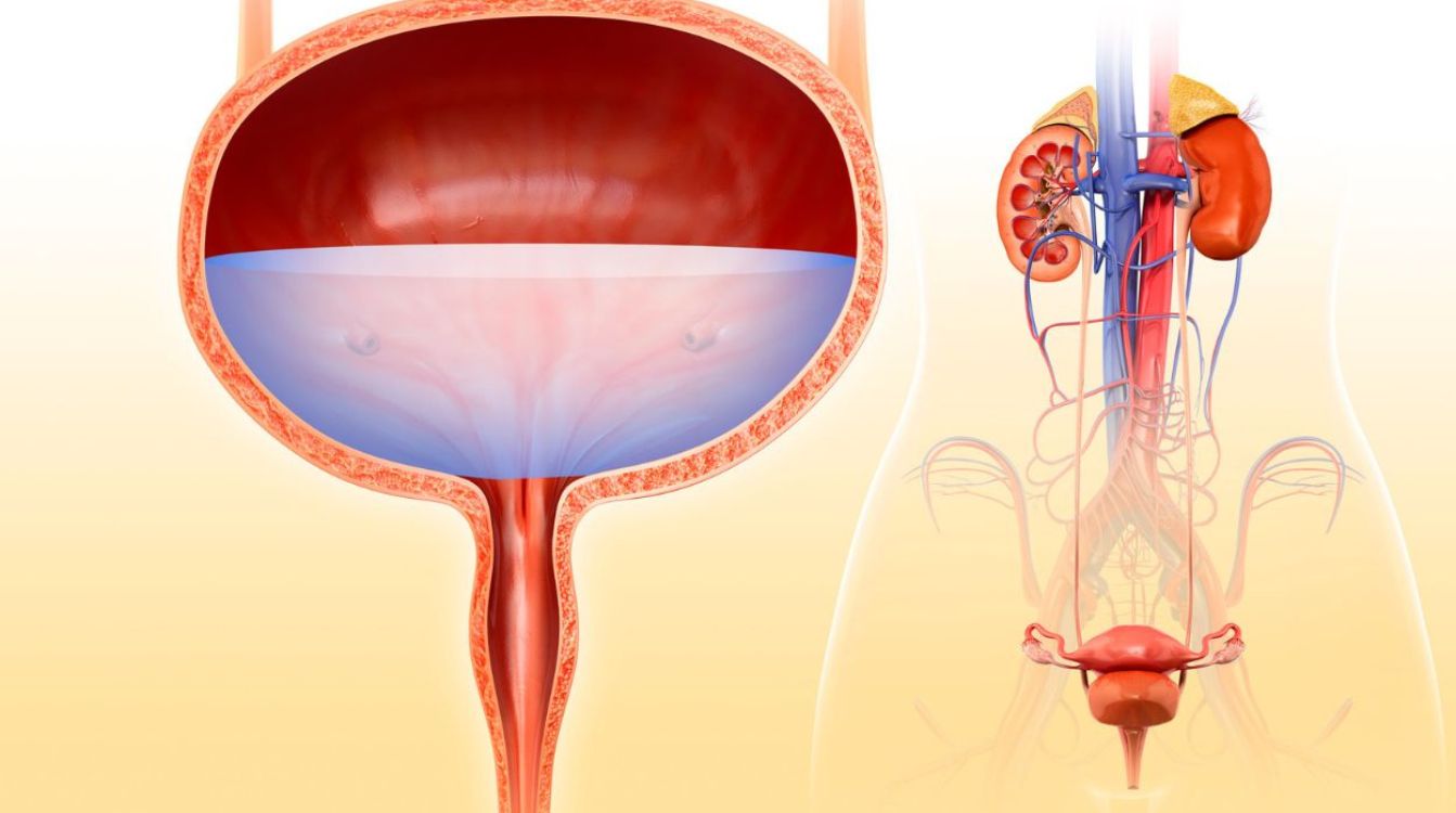 El cambio de hábitos, la fisioterapia y la electroestimulación ayudan a combatir los síntomas de la vejiga hiperactiva