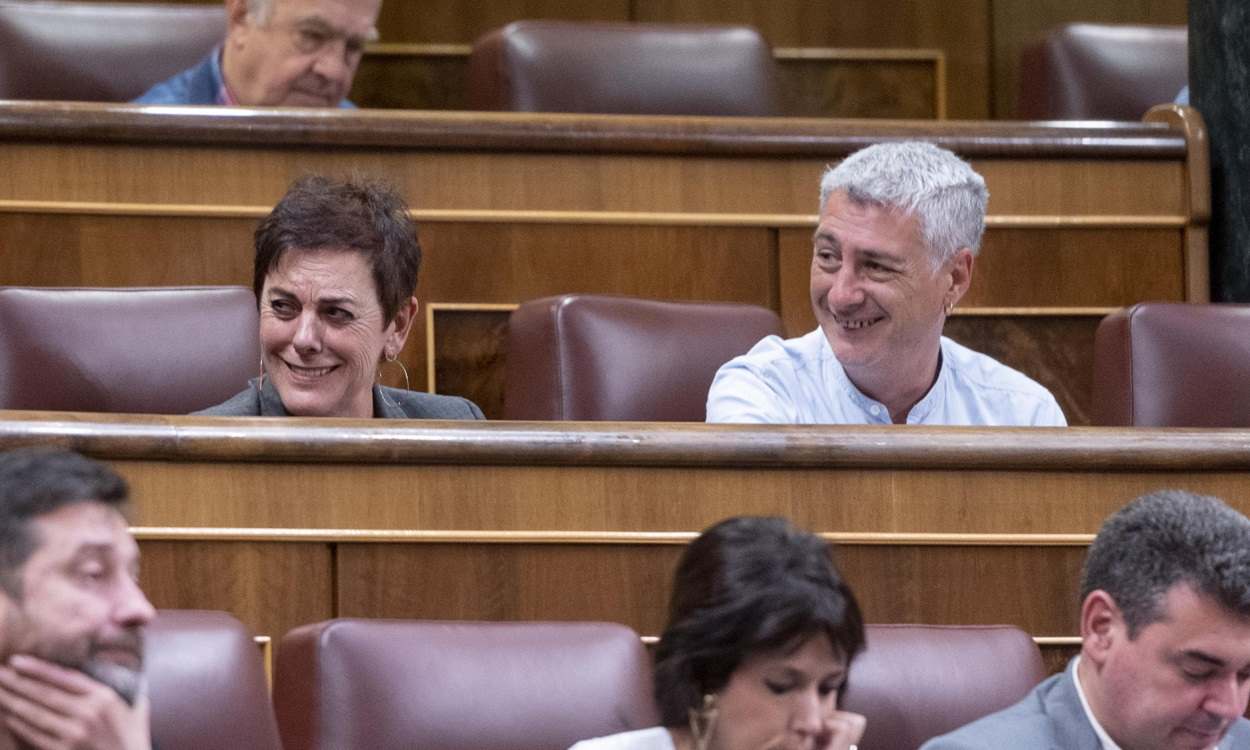 Mertxe Aizpurua y Oskar Matute, portavoz y diputado de EH Bildu, en el Congreso. EP