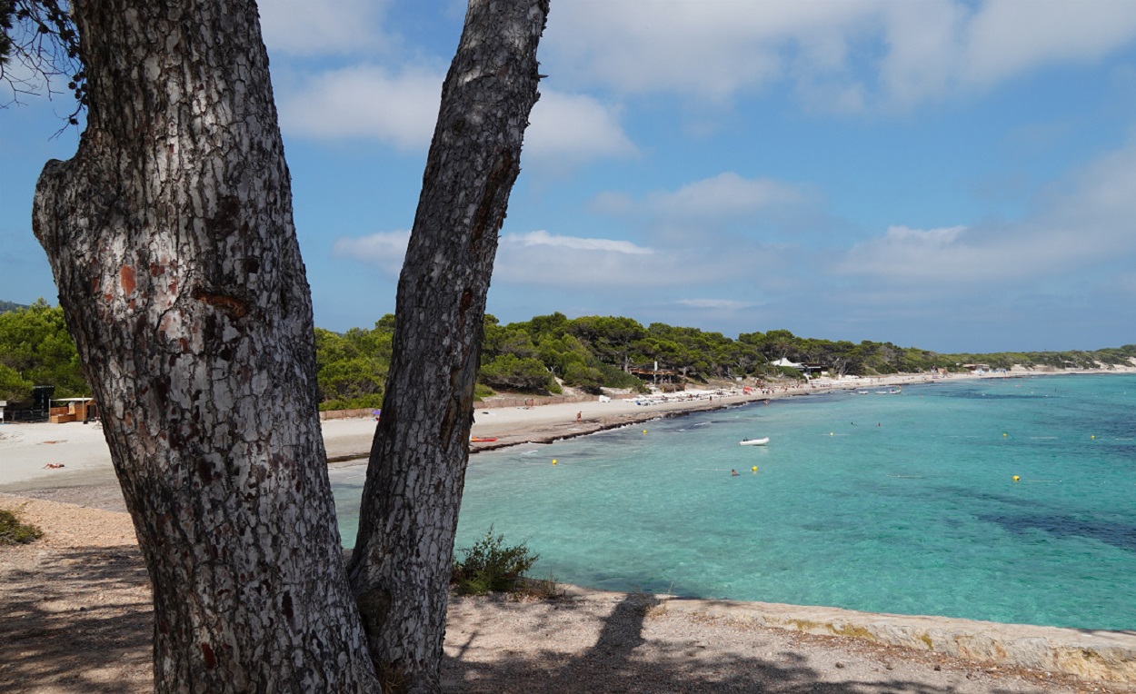 Parque natural de Ses Salines. EP