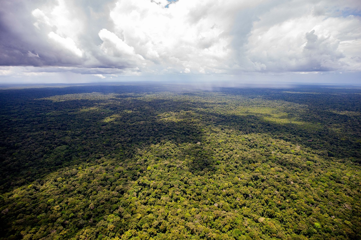 Vista aérea del Amazonas. EP.
