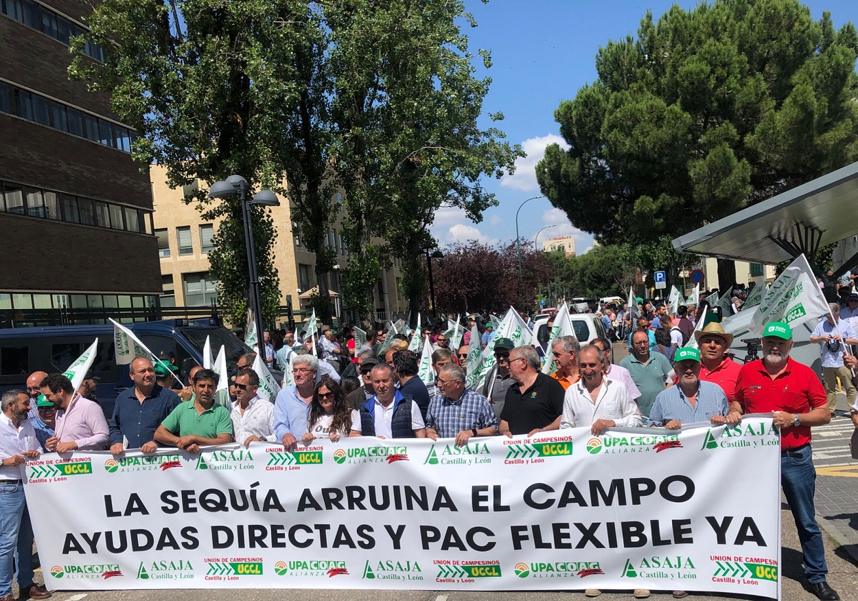 Agricultores y ganaderos contra Mañueco