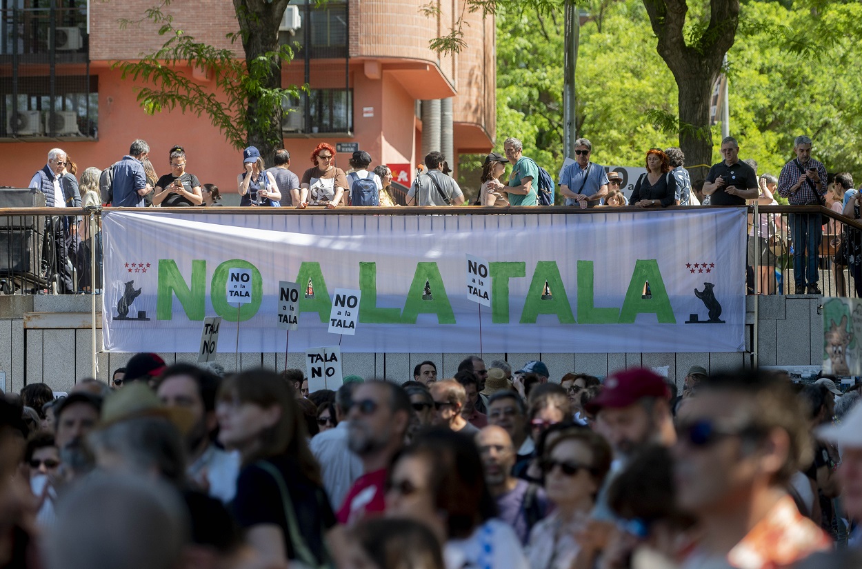 Los vecinos denuncian a Almeida por permitir que Ayuso tale 242 árboles. EP