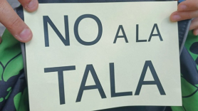 Pancarta NO a la tala