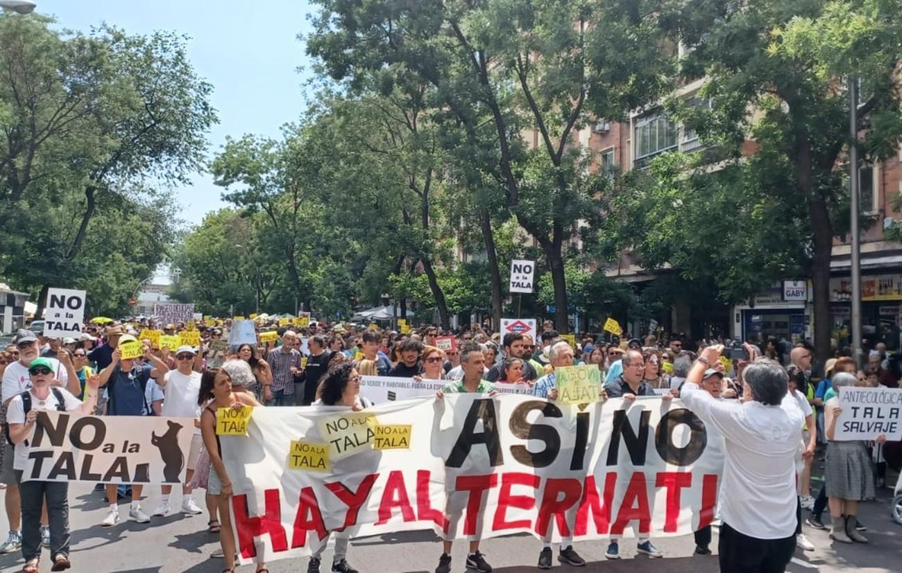 Decenas de personas se manifiestan en Madrid contra la tala de árboles ...