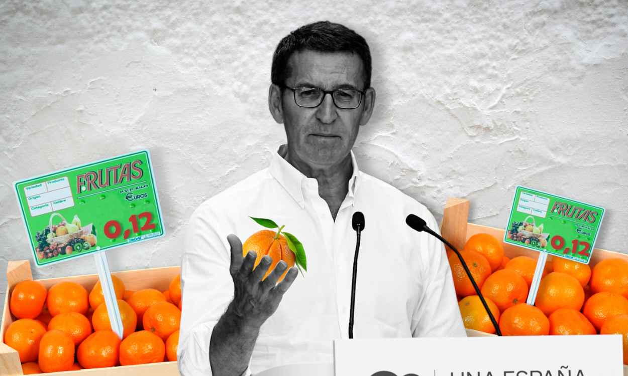 Elaboración propia de Feijóo con una remesa de naranjas. Jesús Olmedo. 