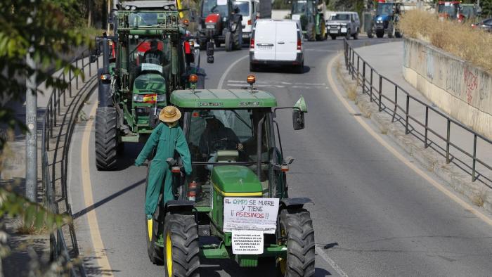 Huelga de agricultores, en directo | Los tractores toman Madrid: cortes de tráfico y horarios