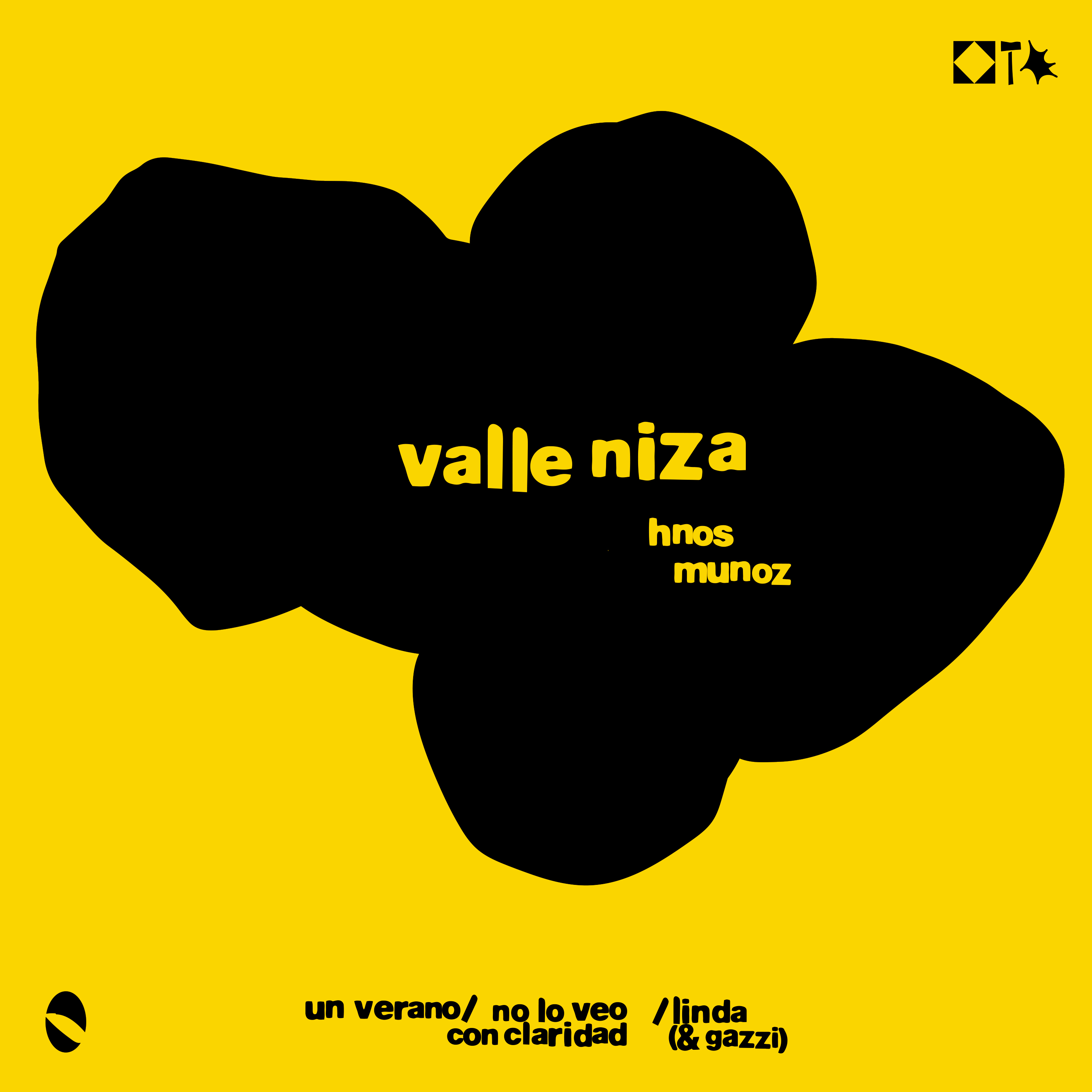 valle niza cover