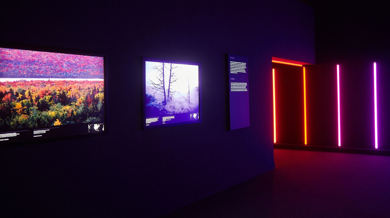 Imagen de la sala de Colores del mundo en CaixaForum Zaragoza