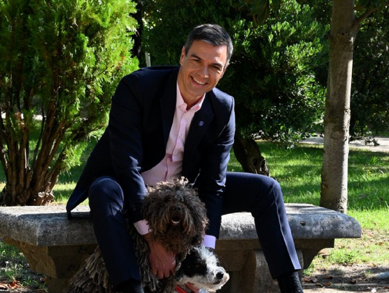 El candidato del PSOE, Pedro Sánchez, junto a sus dos perros. Twitter @sanchezcastejon
