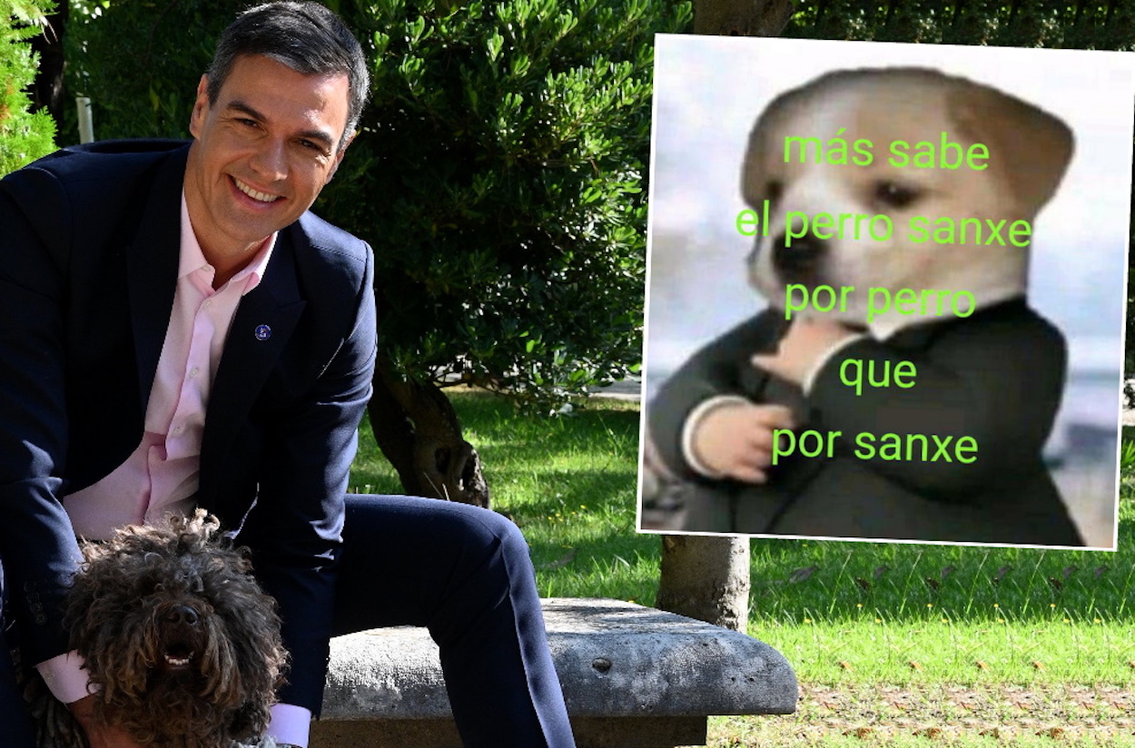 Imagen de la cuenta de Twitter de Pedro Sánchez con sus mascotas por el Día Mundial Del Perro.