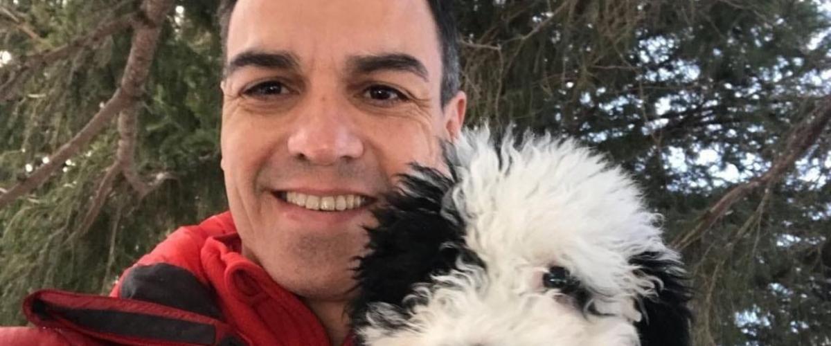 Sánchez, de “chico de los recados” en EE.UU a La Moncloa