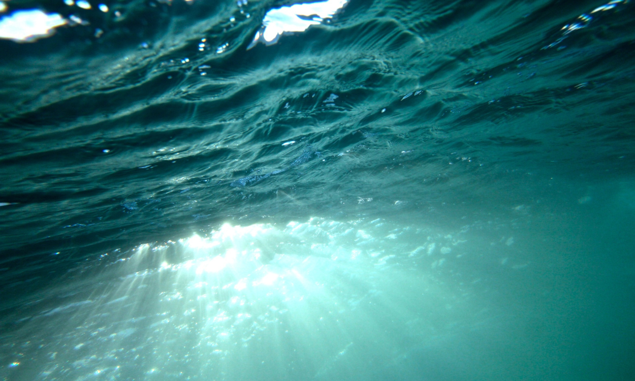 ¿Por qué nos da miedo el mar? 