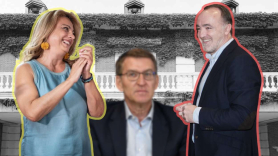 Cristina Valido (Coalición Canaria) y Javier Esparza (UPN) difuminan las expectativas de Feijóo. Elaboración propia