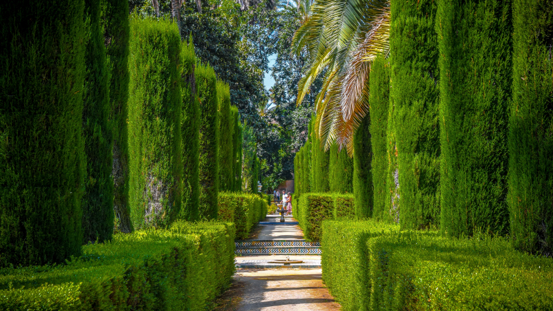  Los Reales Alcázares de Sevilla de Tom Podmore para Unsplash