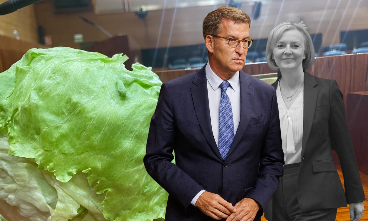 Fotomontaje de Alberto Núñez Feijóo y Liz Truss con una lechuga. Elaboración propia.