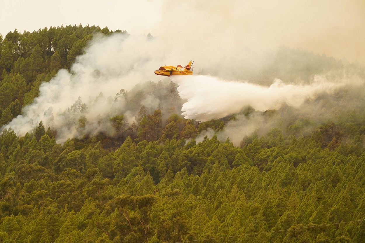 Un hidroavión lanza agua sobre el incendio forestal en las inmediaciones del municipio de El Rosario / EP 