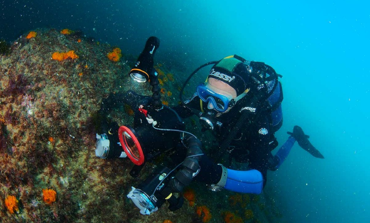 Biólogos consiguen rescatar el coral Mediterráneo. HyT