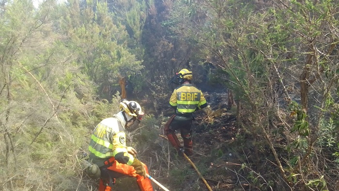 Brigada Forestal trabajando en el incendio de Tenerife